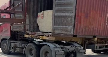 扬州 黄金麻荔枝面毛板