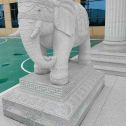扬州 白麻花岗岩动物异形石雕-大象