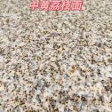 扬州黄金麻中黄荔枝面