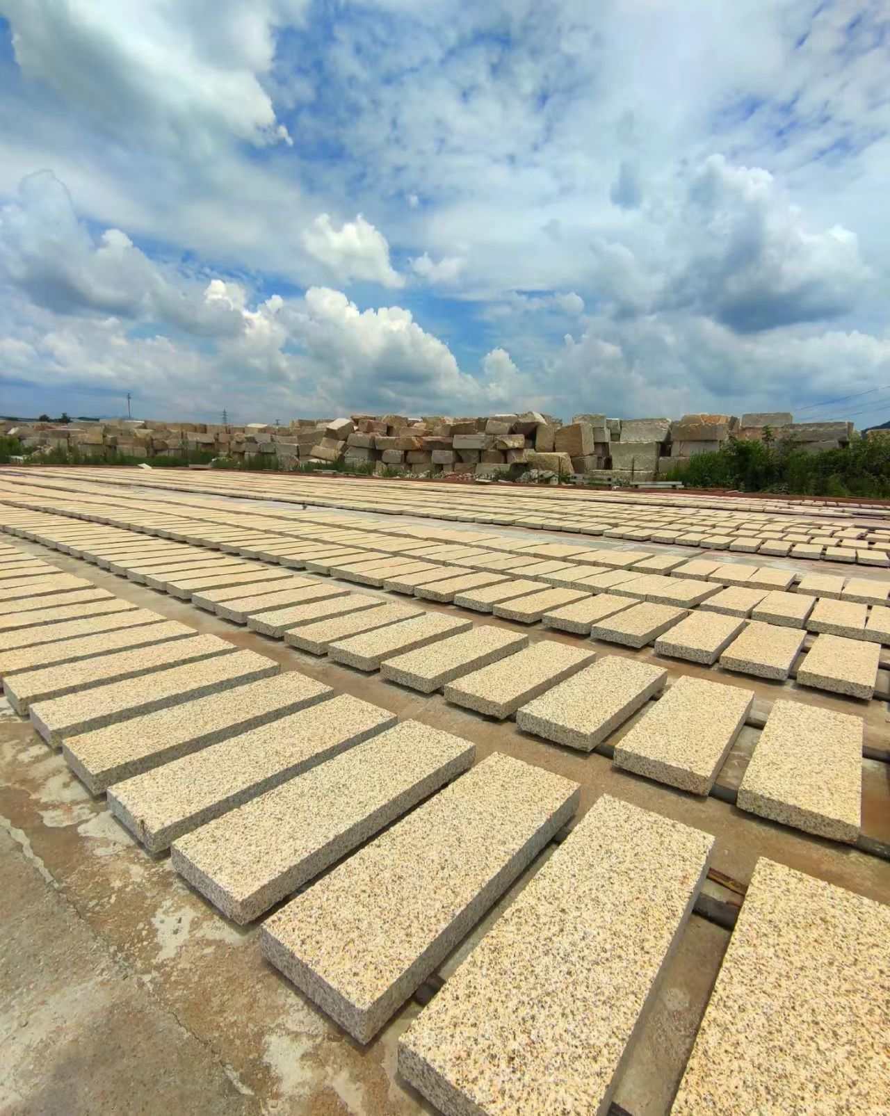 扬州 黄金麻花岗岩荔枝面地铺石防护中